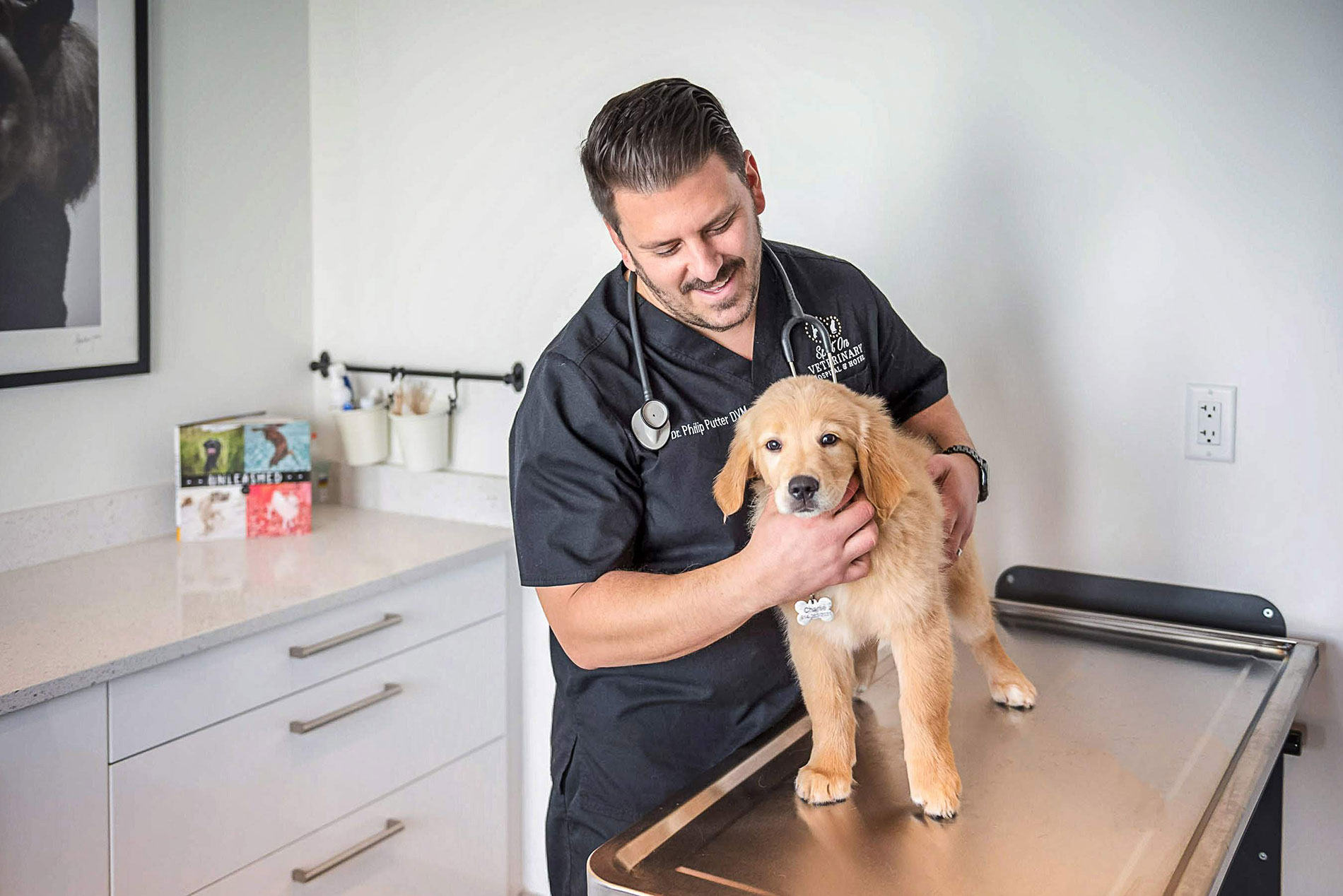dog at veterinary hospital