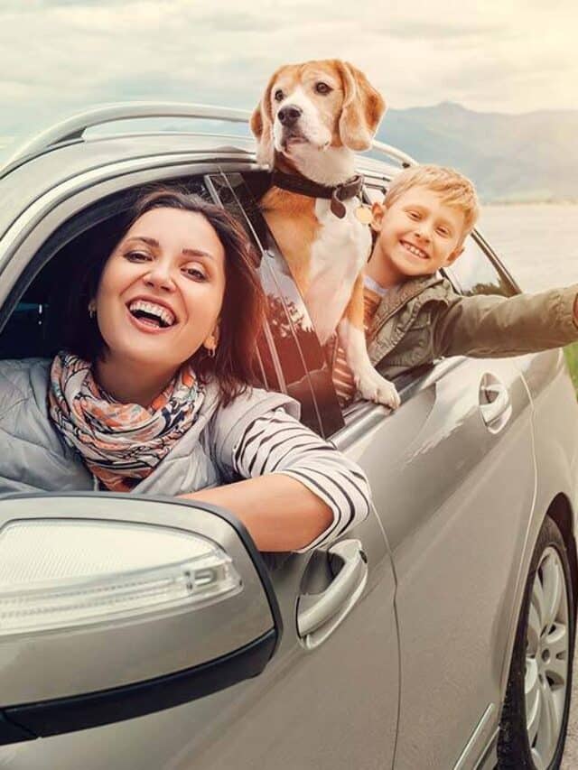 Know Best Ways To Make Traveling With Your Pet Enjoyable