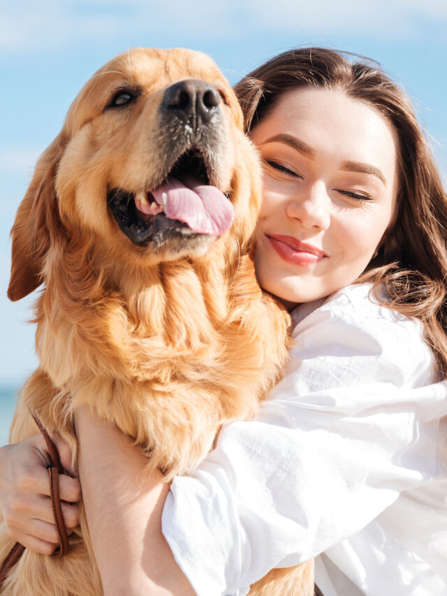 Get The Ultimate Guide to Finding A Perfect Pet Sitter!