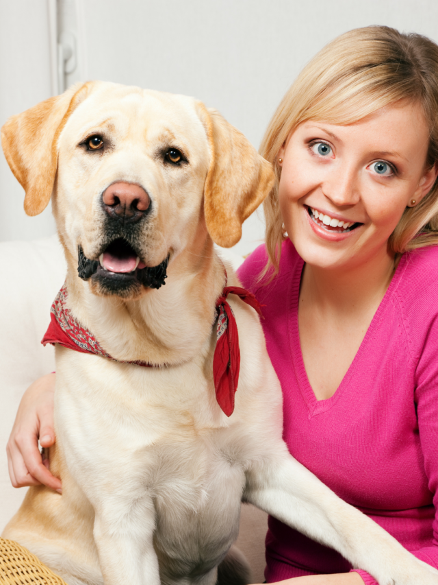 Know How to Convince your Mom to get a Dog.