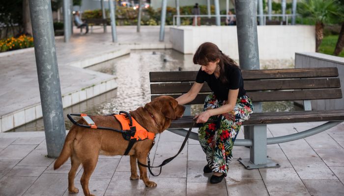 Services Dog