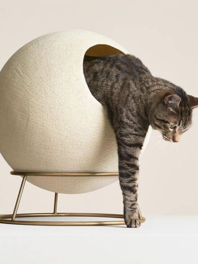 1670880621-stellar-cat-bed-1670880617