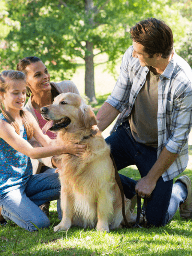 Best Benefits Of Having a Pet